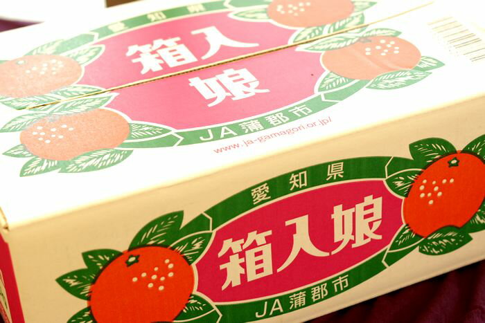 箱入娘みかん販売　愛知県蒲郡産 お歳暮みかん通販でお取り寄せ　糖度12度以上 5kg　2S〜2L