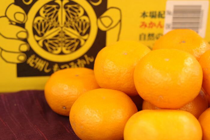 ひかえおろうみかん 蔵出し下津みかん「蔵夢」本貯蔵 糖度13度以上！和歌山県JAながみね 5kg　S〜2Lのサムネイル