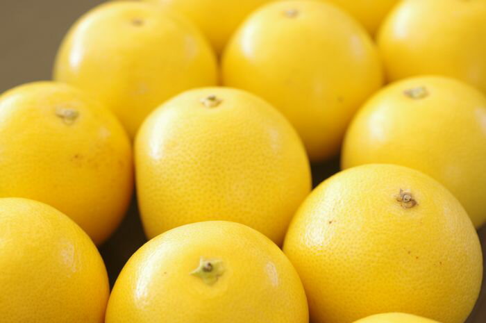 ジャクソンフルーツ通販 南アフリカ産の販売 約15玉のサムネイル