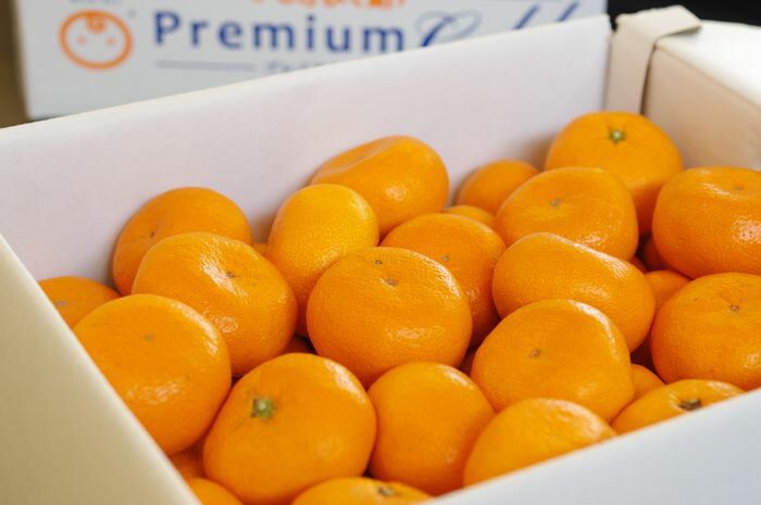 �ܳ���¢����Ϻ�ʤ��夿�����ˤߤ������� �Ǿ��ڤӥץ�ߥ���ڤӥץ�ߥ��ॴ����� JA�ʤ󤹤������ߤ����������������13�� ��5kg S��2L �Ų�����