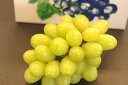ジュエルマスカット葡萄通販 種なし皮ごと食べられるぶどうを販売取寄。1房 約550g