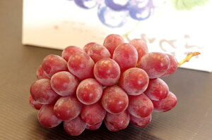 クイーンルージュⓇ ぶどう通販 長野県 種なし皮ごとOKの葡萄の販売 1房