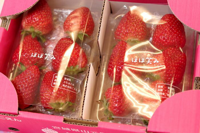 宮城県山元町いちご 2P入れのサムネイル