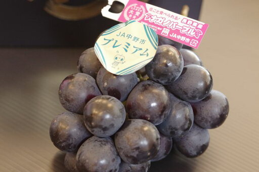 プレミアムJA中野市 ナガノパープル葡萄通販 長野県産。種なし皮ごと食べられるぶどうを販売取寄。1房入 プレミアムJA中野市 ナガノパープル葡萄通販 長野県産。種なし皮ごと食べられるぶどうを販売取寄。1房入