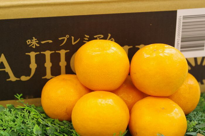 乐天商城 - 味一みかん プレミアム 糖度13度以上 和歌山県 5kg S～L
