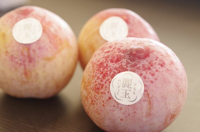 麗玉れいぎょく 長野県 すもも李 糖度18度 品種シナノパール 1玉200g以上 3玉入