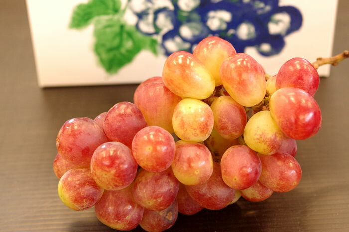 サニードルチェぶどう　1房 約550g　山梨・他産地のサムネイル