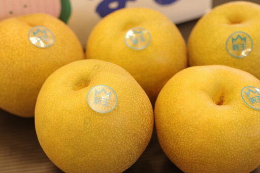 新王梨(しんおうなし) 新潟県産 通信販売 5kg 約8玉~約16玉 新王梨(しんおうなし) 新潟県産 通信販売 5kg 約8玉~約16玉