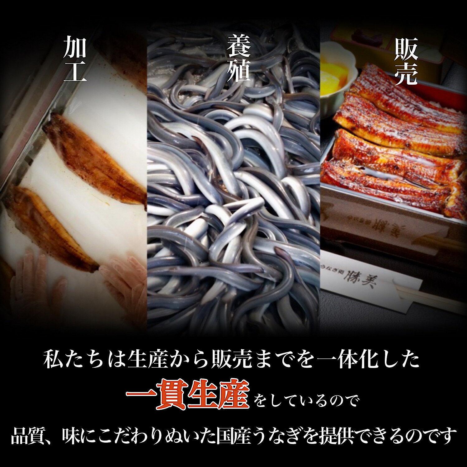 【レンジで温めるだけかんたん】訳ありうなぎ焼きおにぎり10ヶ入り国産蒲焼ひつまぶしワケありうなぎ屋うな重うな丼1kg仕送り