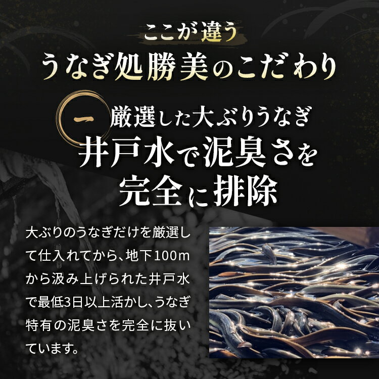 うなぎ 国産 きざみうなぎ ギフト セット (タレ山椒付) 個数選べる 3袋 5袋 10袋 御歳暮 プレゼント 高級 贈り物 誕生日 送料無料 勝美 国産鰻 うなぎ蒲焼き うなぎの蒲焼 鰻蒲焼 うなぎ蒲焼 食べ物 鰻 ウナギ unagi 静岡 浜名湖 無添加
