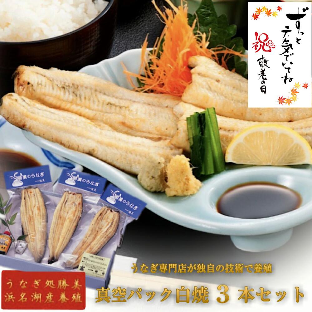 【 早割★150円OFFクーポン有 】お中元 ギフトうなぎ 国産 勝美 白焼 3本セット 送料無料 御中元 土用の丑の日 父の日 母の日 プレゼント 誕生日 お返し お祝 出産内祝 国内産 浜名湖産 鰻 ウナギ ひつまぶし グルメ お取り寄せグルメ 贈り物 食べ物 食品 冷凍食品