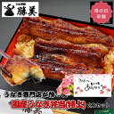 蒲焼き 【超早割20%OFFクーポンあり】うなぎ 国産 蒲焼き弁当【特上】2食セット (タレ山椒付) 母の日 早割 プレゼント 勝美 ギフト 誕生日 冷凍弁当 駅弁 お弁当 レンジ 温めるだけ 贈り物 お返し 御礼 御祝 出産内祝 浜名湖 浜松 冷凍弁当 蒲焼 鰻 ウナギ unagi カット 送料無料