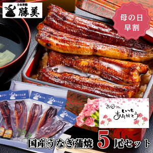   P10Ըۤʤ  Ƥ 160g5å (졦ܥ)  ץ쥼  ե  £ʪ  ʪ ֤   ࿦ˤ л  ʥ unagi ⻺ ̾ ;  ҤĤޤ֤  ѥå  ̵