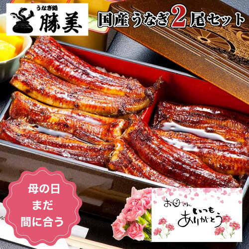 うなぎ専門店 勝美 真空パック 蒲焼き 160g×2本 セット (タレ山椒付) ...