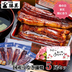 P5  ޤ֤˹礦ۤʤ  Ƥ 160g5å (졦ܥ)  ץ쥼  ե  £ʪ  ʪ ֤   ࿦ˤ л  ʥ unagi ⻺ ̾ ;  ҤĤޤ֤  ѥå 