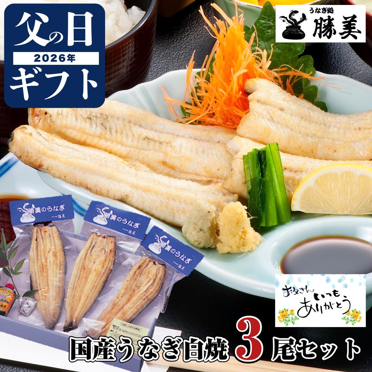 Steaming Eels - うなぎ 父の日 ギフト 国産 白焼 170～180g×3尾セット (タレ・山椒付) 勝美 プレゼント 高級ギフト 贅沢ギフト 贈り物 誕生日 送料無料 食品 食べ物 お返し 御礼 御祝 出産内祝 国内産 浜名湖 浜松 鰻 unagi うなぎ白焼き うなぎ白焼 特大 冷凍食品