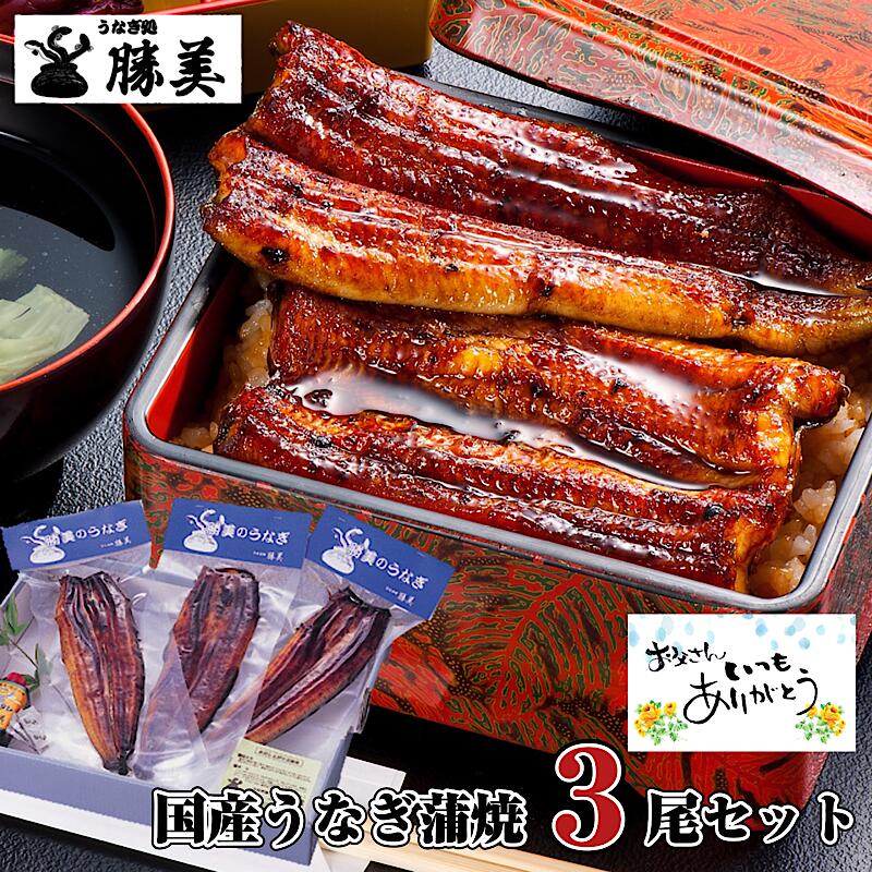  150OFFݥͭ  ʤ  Ƥ 160g3å (졦ܥ) ե 渵  ץ쥼  £ʪ  ʪ ֤   ࿦ˤ л ̵   ʥ unagi  ⻺ ̾ ;  ʪ 