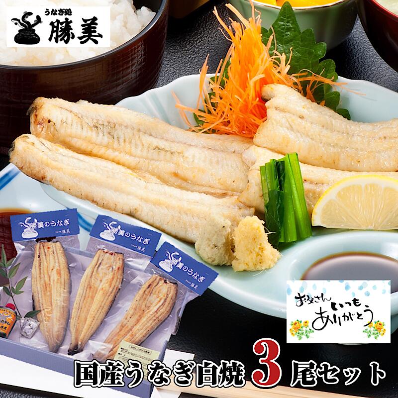 白焼き ＼P10還元／うなぎ 国産 白焼 160g×3尾セット (タレ・山椒付) 勝美 プレゼント ギフト 父の日 贈り物 誕生日 食品 食べ物 お返し 御礼 お祝 退職祝い 出産内祝 国内産 浜名湖産 鰻 unagi 真空パック 冷凍食品