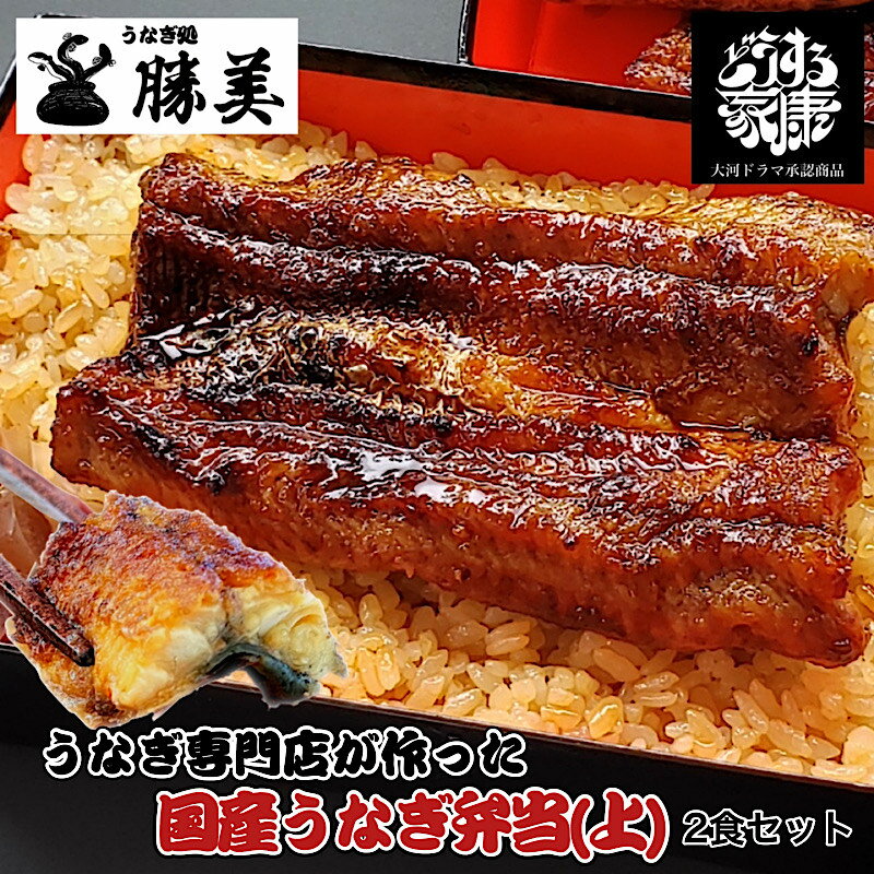 父の日 うなぎ 国産 蒲焼き弁当【上】2食セット (タレ山椒付) ギフト お中元 母の日 プレゼント 誕生日 贈り物 お返…