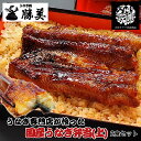 【母の日 まだ間に合う】うなぎ 国産 蒲焼き弁当【上】2食セット (タレ山椒付) 母の日 早割 プレゼント ギフト 誕生日 父の日 贈り物 お返し 御祝 御礼 出産内祝 レンジ 冷凍弁当 浜名湖 浜松 駅弁 蒲焼 勝美 鰻 ウナギ unagi カット 2人前 食べ物 送料無料