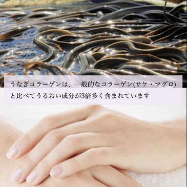 【美味しくきれいに 肌ツヤ飯】うなぎコラーゲン入り 勝美 うなぎ焼きおにぎり10ヶ入 国産 蒲焼 ひつまぶし ギフト うなぎ屋 うな重 うな丼 冷凍 うなぎタレ 母の日 父の日 美肌 セラミド 送料無料