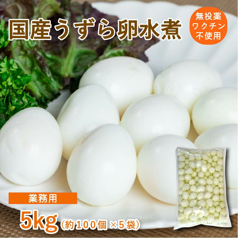 国産 静岡県産 浜名湖ファーム うずらの水煮卵1kg（固形量）×5袋 約500個 【業務用】【送料無料】 新鮮 濃厚 こだわり 無投薬 産地直送 トッピング 産卵後3日以内に水煮