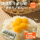 ＜味＞ 鶏卵と比べて、濃厚なのに後味はスッキリとした味で、臭みのほとんど無いうずらの卵は、 そのまま食べてもしつこくなく、何個でも食べられてしまいます。 ＜栽培のこだわり＞ 浜名湖ファームのうずら卵の安全の秘訣は、「発酵の力」。 伝統的な日本人の食生活のように、浜名湖ファームのうずらは発酵の餌を食べて育ちます。 餌にたっぷり入った乳酸菌や酢酸菌が、うずらを病気から守る殺菌効果の役割を果たすため、殺菌剤とワクチンを使わず飼育しています。そのため、卵にも薬品の残留がなく、安全・安心な卵です。 ＜産地の特徴＞ 浜名湖の澄んだ空気と新鮮な井戸水を使用して飼育しています。 栄養価は鶏の卵と比べるとビタミンA、ビタミンB、葉酸、鉄分等も多く、特にビタミンB12は5倍もあります。 夏バテや風邪予防、貧血予防にもなりますのでぜひ召し上がってみてください。 すきやきに入れたり卵かけご飯、目玉焼きはおすすめです。 商品説明 名称 うずら卵 内容量 120個 産地 国産（静岡県産） 選別包装者 有限会社浜名湖ファーム静岡県湖西市白須賀5991 賞味期限 発送日より2週間 保存方法 冷蔵保存 使用方法 生食の場合は賞味期限内に使用し、賞味期限経過後は十分に加熱調理してください。静岡県産 浜名湖ファーム うずらの生卵 120個 家庭用 贈答用 新鮮 濃厚 こだわり 産地直送　トッピング 臭みの無い濃厚なうずらの卵 【安心・安全な臭みの無い濃厚なうずらの卵】 当店のうずらの卵は、ワクチンや殺菌剤といった薬を投与せず飼育したうずらの卵のため、安心・安全な卵です。臭みが無く濃厚なうずらの卵を是非一度召し上がってみてください。 産みたての新鮮な卵をお送りします。 卵かけご飯や煮卵におすすめ。 ご家庭用だけでなくプレゼントにも最適。 濃厚。なのに後味すっきり。 「スーパーで買った卵と味が全然違う！」と驚きの声をたくさんいただく商品です。 乳酸菌・酢酸菌たっぷりの餌で健康なうずらが育ちます 外部から仕入れた雛ではなく、自家農場で卵から大切に育てています。 浜名湖の豊かな自然環境で育んでいます。 卵の選別・詰めは手作業・目視確認。ひとつひとつ心を込めて行っています。 うずら卵の栄養は鶏卵よりもパワフル！ 安心・安全な卵を食べたい方 濃厚な卵を食べたい方 卵臭さの無い卵を食べたい方 店長の近藤です。当社は30年以上うずらの卵を生産しています。新鮮な卵をお送りしますので安心して生でも食べてみてください。鶏卵よりも白身の量が少ないためより濃厚に感じられると思います。普段スーパーに売っている水煮卵を食べていませんか？生卵から作った水煮卵は黄身のパサパサ感が無く、濃厚でとても美味しいです！ぜひ一度お試しくださいませ。うずらの卵は、牛丼やとろろに乗せたり、そばつゆに生卵を入れても美味しいです。他にも茹でてサラダやおでん、煮物などに入れても合います。いろんな料理に入れたらあっという間に40個が無くなると思います。日頃の料理にうずらの卵を使ってみませんか？ご注文を心よりお待ちしております！ 【在庫のある場合】4〜5営業日以内に発送いたします。 1