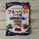 ブルーベリーのど飴 64g メール便送料無料 ポイント消化 300