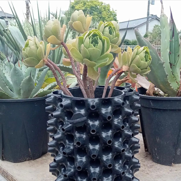 ルートプラスポット3L　黒3個セット　植物　機能特化型　植木鉢　水捌け良し　空気剪定　GS-AP150M(4.0)