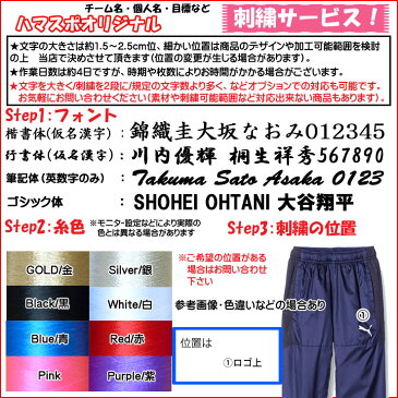名入れ刺繍OK! プーマ サッカー ジュニア TEAMFINAL 21 ウラトリコット ピステ 657125