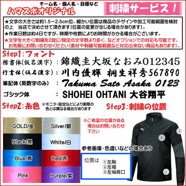 名入れ刺繍OK! プーマ サッカー 男女兼用 ユニセックス TEAMFINAL21 トレーニング ピステト 704652