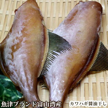 【魚津ブランド・富山湾産】カワハギ醤油干し（ウマヅラハギ／200g）