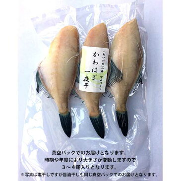 【魚津ブランド・富山湾産】カワハギ醤油干し（ウマヅラハギ／200g）