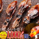 ほたるいか 姿干 素干し 100g ホタルイカ 干物 送料無料 訳あり　大人気！　お土産 日本海産 天日干し ホタルイカ通販 日本海産 蛍イカ 素干 素 干し