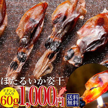 1000円ポッキリ ほたるいか 姿干 素干し 60g 【#元気いただきますプロジェクト】送料無料 グルメ食品 産直 秋 冬 グルメ 食品 ホタルイカ 干物 訳あり　おつまみ　手土産 お土産 日本海産 天日干し ホタルイカ通販 日本海産 蛍イカ 素干 素 干し