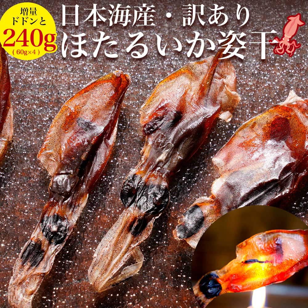 【浜浦水産 んまいちゃ便】 ホタルイカ 素干し 【 姿干 】 訳あり 240g (60g×4) お取り寄せ グルメ 富..