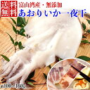 無添加 天然 アオリイカ 一夜干 (1枚入)約110g お取り寄せグルメ お取り寄せ グルメ 贈り物 お歳暮 送料無料 敬老の日 敬老 父 ギフト イカ いか 晩酌 晩御飯 お家時間(4)