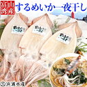 【浜浦水産 んまいちゃ便】 富山湾産　するめいか一夜干200g×3枚　送料無料　いか　真いか　いか一 ...