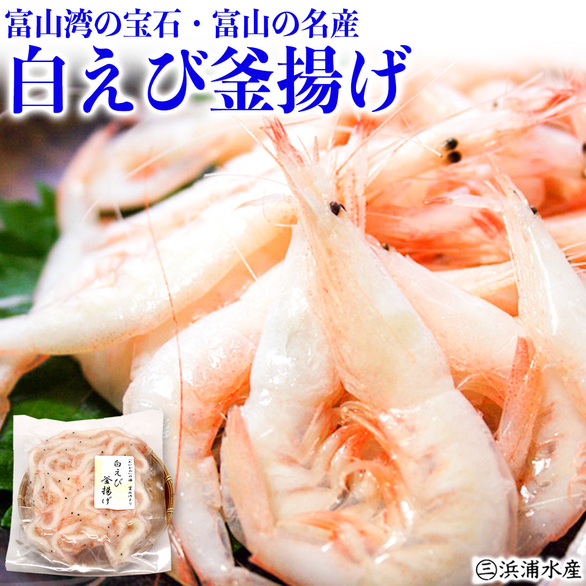 送料無料　富山湾の宝石・富山の名産　白えび釜揚げ100g　白えび　シロエビ　白海老　釜揚げ　大人気！　富山 お土産　敬老の日 お中元　御中元　富山湾　シロエビ通販 内祝い お返し お歳暮 敬老 御歳暮　令和