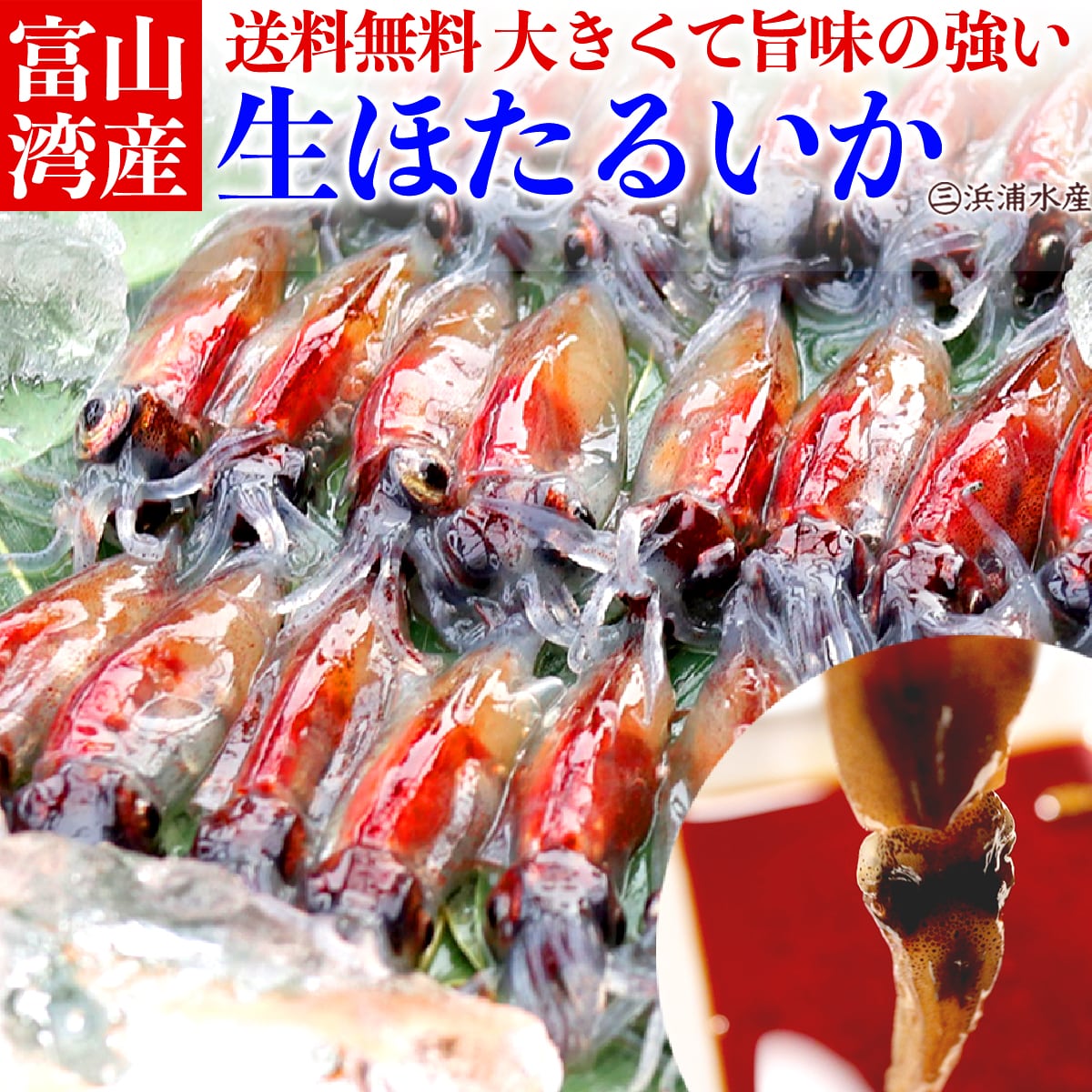 富山湾産 生 ほたるいか 1kg お取り寄せグルメ 父の日