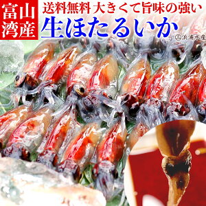 【 急速冷凍処理済 生食OK 】 富山湾産 生 ほたるいか 1kg お取り寄せグルメ 父の日 プレゼント 送料無料 朝獲れ 冷凍 春 旬 お取り寄せ グルメ ギフト 食べ物 富山 【 250g×4 】