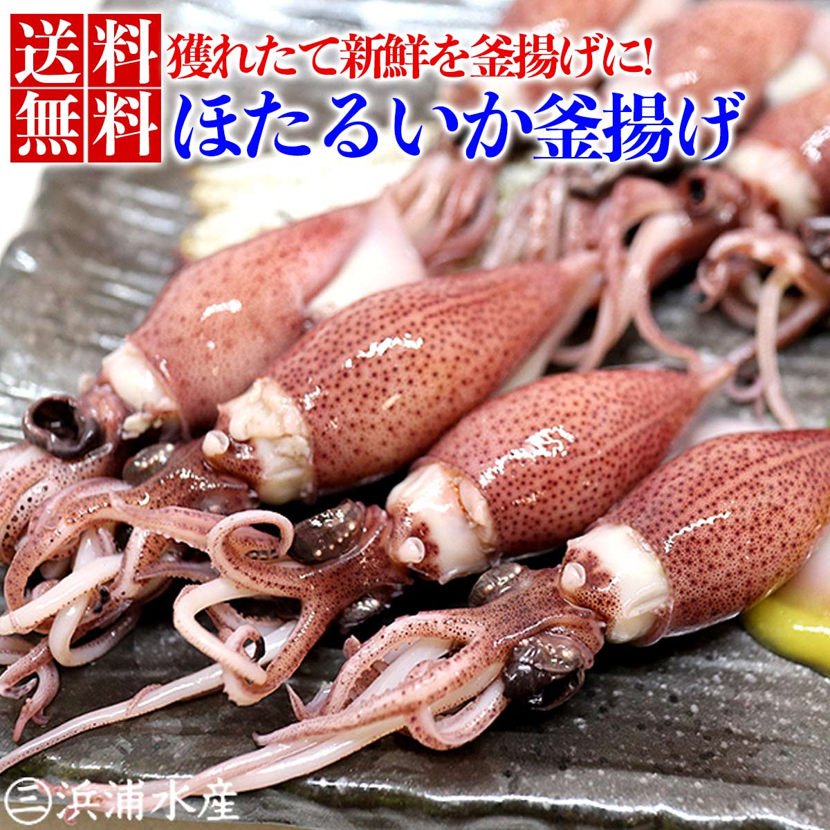 富山湾産 ほたるいか 釜揚げ (目取) 250g×3 酢みそ20g×6 蛍烏賊 ボイル 旬限定2月より販売開始 春 お取り寄せ グルメ 母の日 プレゼント 父の日 ギフト 食べ物 富山 入学