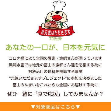 1000円ポッキリ ほたるいか 姿干 素干し 60g 【#元気いただきますプロジェクト】送料無料 グルメ食品 産直 秋 冬 グルメ 食品 ホタルイカ 干物 訳あり　おつまみ　手土産 お土産 日本海産 天日干し ホタルイカ通販 日本海産 蛍イカ 素干 素 干し