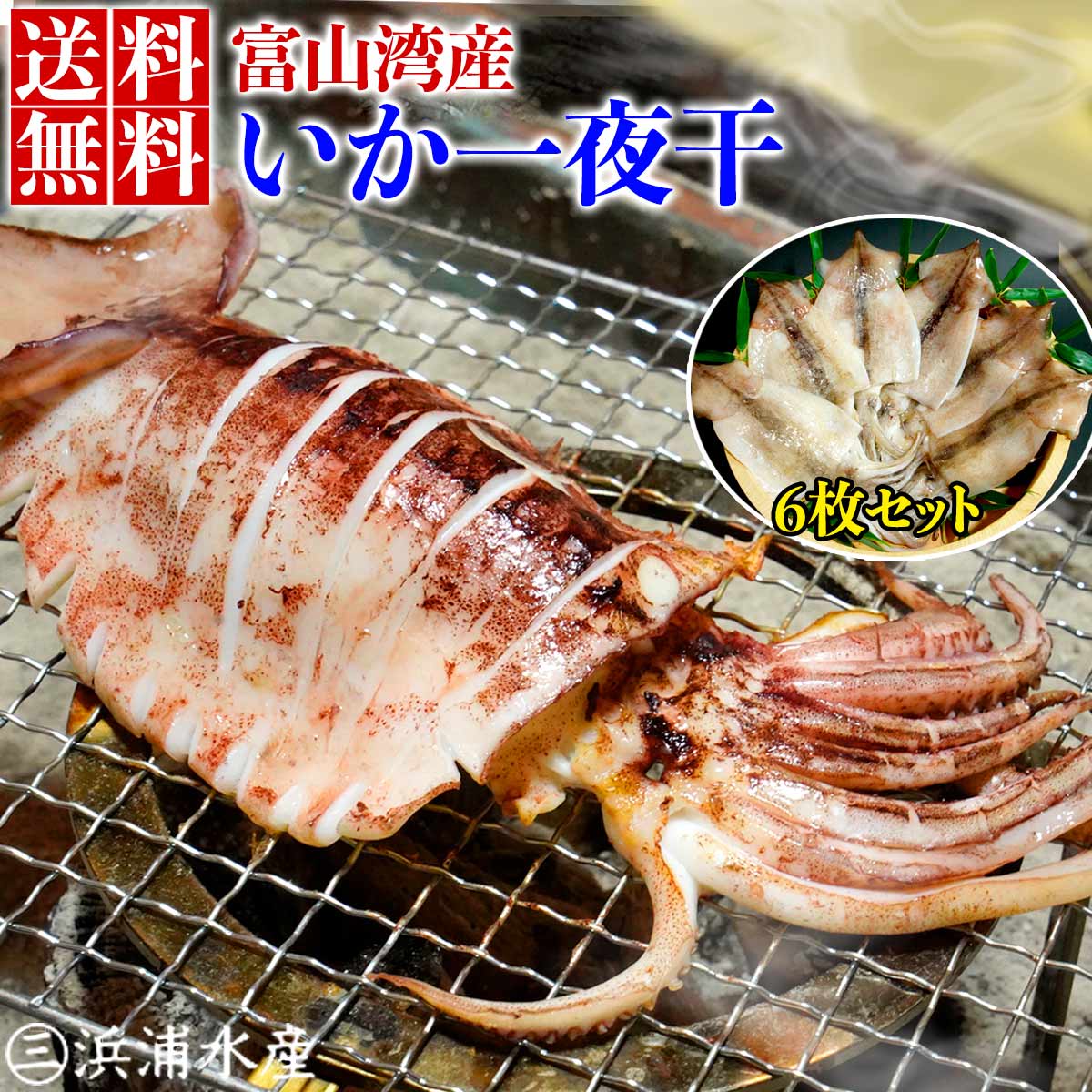 富山湾産　するめいか一夜干 一人前の食べきりサイズ6枚入り 送料無料 いか スルメイカ 真いか いか一夜干し 天然 肉厚 大人気！ 富山 お土産 母の日 プレゼント 父の日 ギフト 食べ物 入学 敬老の日 敬老 お中元 御中元 いか通販 内祝い お返し お歳暮 御歳暮