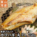 【 魚津ブランド ・ 富山湾産 】無添加 カワハギ(ウマヅラハギ) 750g 送料無料 かわはぎ 干 ...