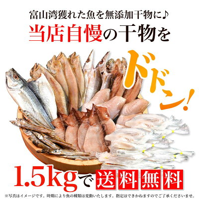 【浜浦水産 特製!】メガ盛り 訳あり 干物セット 2.5kg 送料無料 詰合せ 富山湾 日本海 富山 海鮮 干物 ひもの 詰め合わせ ギフト プレゼント 贈り物 お取り寄せ グルメ お歳暮 お中元 中元 御中元 お中元ギフト 母の日 プレゼント 父の日 ギフト 食べ物 入学 敬老 - Image 2