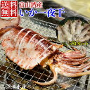 2025年 水揚げ ( 新物 ) 富山湾産 するめいか一夜干 一人前の食べきりサイズ5枚入り いか スルメイカ 真いか いか一夜干し 天然 肉厚 大人気 富山 ...
