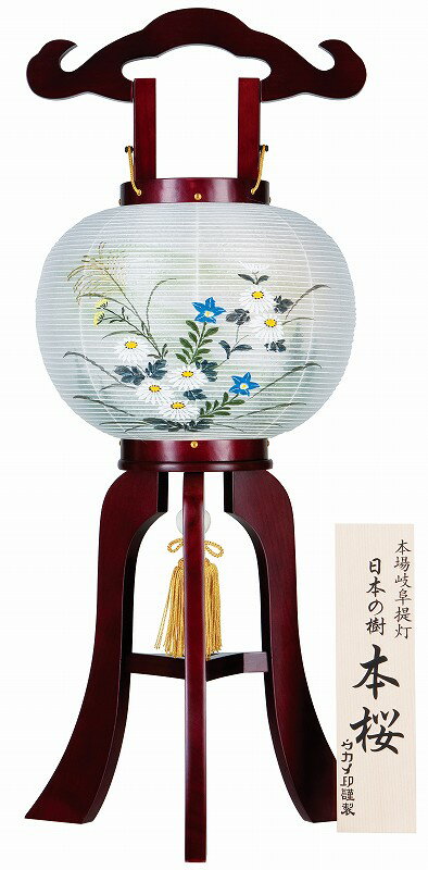 Rakuten - 盆提灯 【ちょうちん・置き型】 小町あんどん 本桜 高さ60cm×火袋径24cm 1202 初盆 初盆提灯 新盆 行灯 ちょうちん ●お仏壇・仏具の浜屋