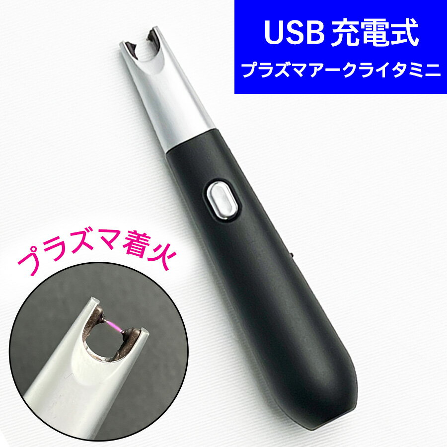 充電式 プラズマ アークライター ミニ 【USB充電式】 風に強い 簡単着火 繰り返し使える 線香 ローソク 墓参り アウトドア BBQ フィッシング 釣り 携帯 小型 軽量 経済的 エコ 電子ライター 家庭用 ミニタイプ 火が出ない 便利 スイッチが軽い シンプル 高齢者向け 女性向け