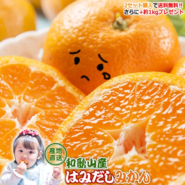 みかん 訳あり 早生 わせ オレンジ 和歌山県から産地直送☆彡 箱買い 2kg 2セット購入で送料無料+約1kg分プレゼント!!ポイント消化 はみだしみかん